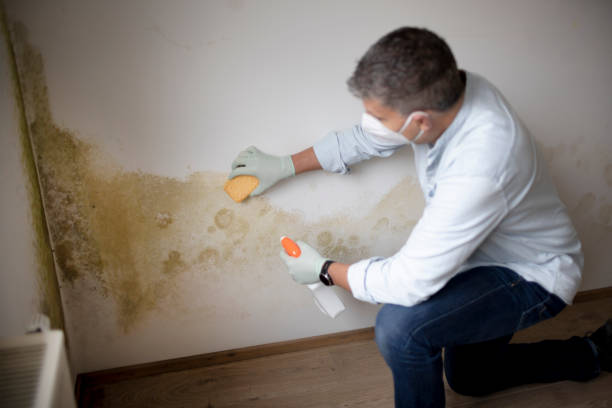 Best Mold Documentation for Insurance Claims  in Esparto, CA