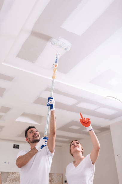 Best Mold Prevention Services  in Esparto, CA