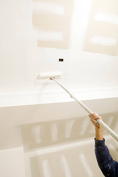 Best Mold Damage Restoration  in Esparto, CA
