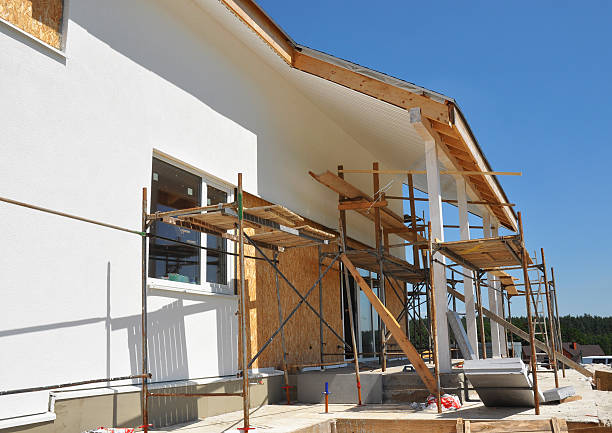 Best Basement Mold Removal  in Esparto, CA