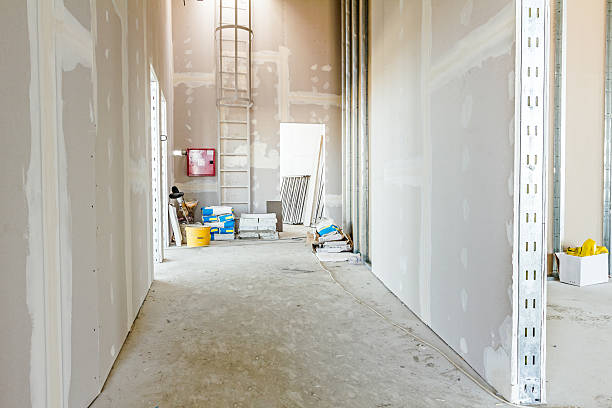 Best Forensic Mold Investigation  in Esparto, CA