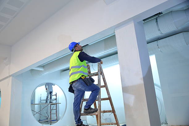Biohazard Mold Removal in Esparto, CA